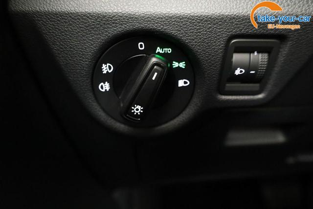 Skoda - Kamiq - EU-Neuwagen - Reimport