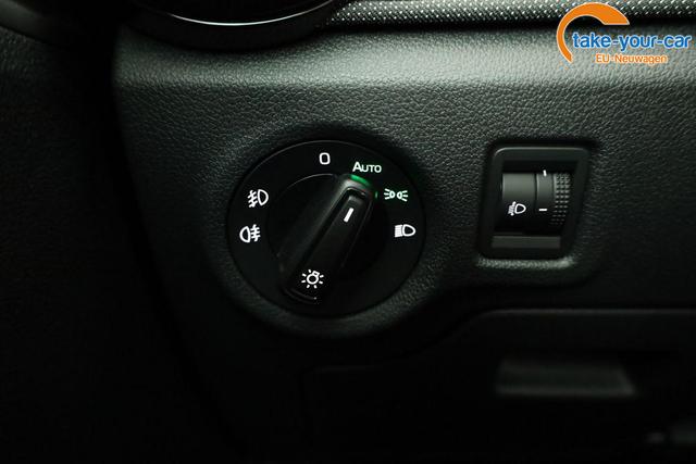 Skoda - Fabia - EU-Neuwagen - Reimport