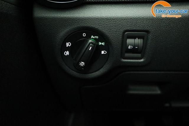 Skoda - Fabia - EU-Neuwagen - Reimport