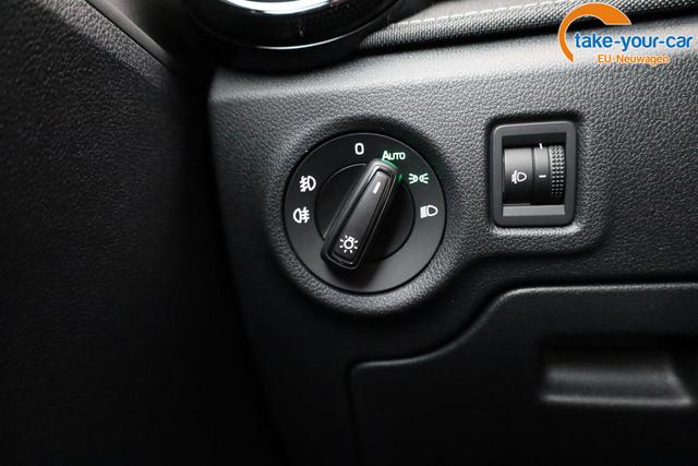 Skoda - Fabia - EU-Neuwagen - Reimport