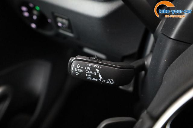 Skoda - Fabia - EU-Neuwagen - Reimport