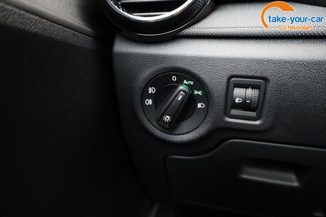 Skoda - Fabia - EU-Neuwagen - Reimport