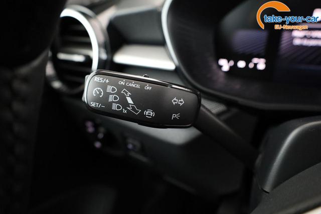 Skoda - Fabia - EU-Neuwagen - Reimport