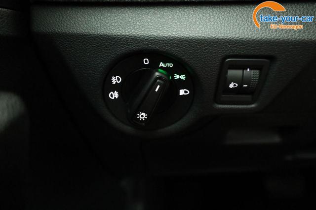 Skoda - Kamiq - EU-Neuwagen - Reimport