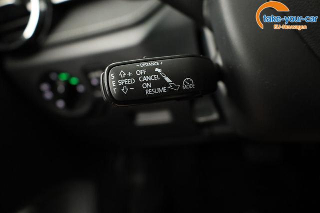 Skoda - Fabia - EU-Neuwagen - Reimport