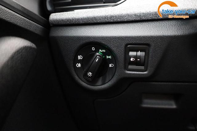 Skoda - Kamiq - EU-Neuwagen - Reimport