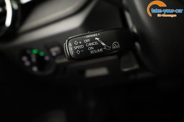 Skoda - Fabia - EU-Neuwagen - Reimport