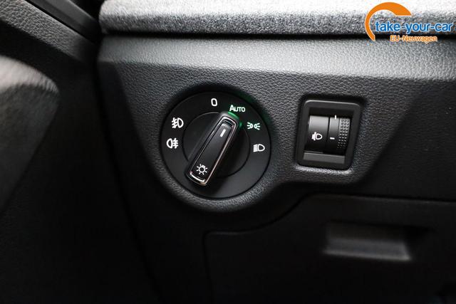 Skoda - Kamiq - EU-Neuwagen - Reimport