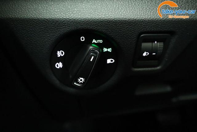 Skoda - Kamiq - EU-Neuwagen - Reimport