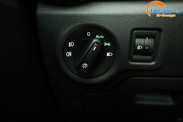 Skoda - Fabia - EU-Neuwagen - Reimport