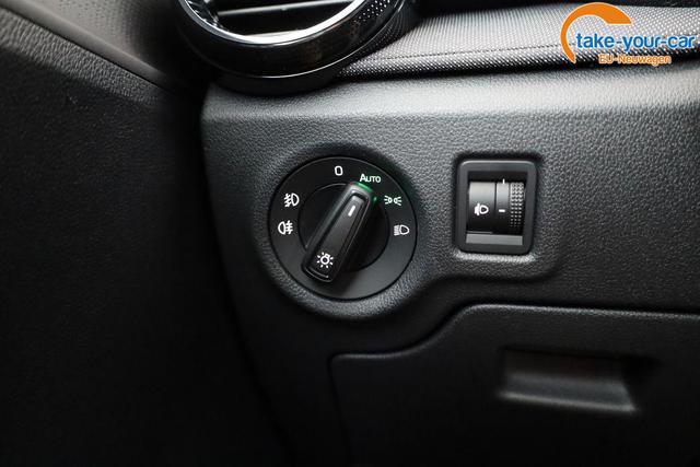 Skoda - Fabia - EU-Neuwagen - Reimport