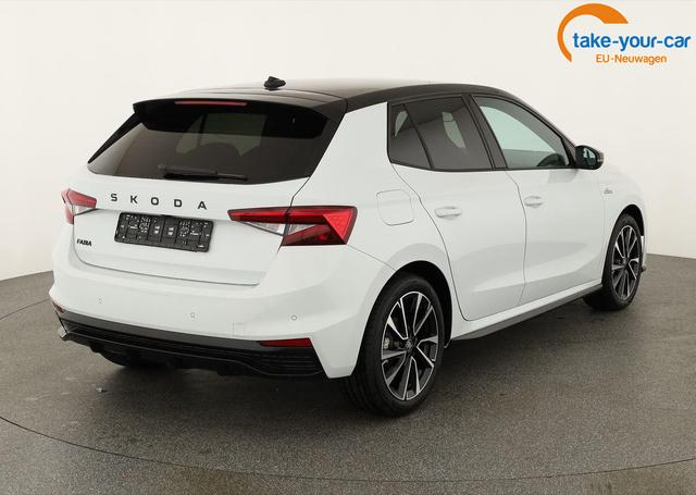 Skoda - Fabia - EU-Neuwagen - Reimport