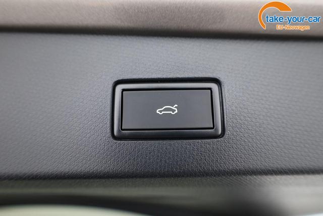 Cupra - Tavascan - EU-Neuwagen - Reimport