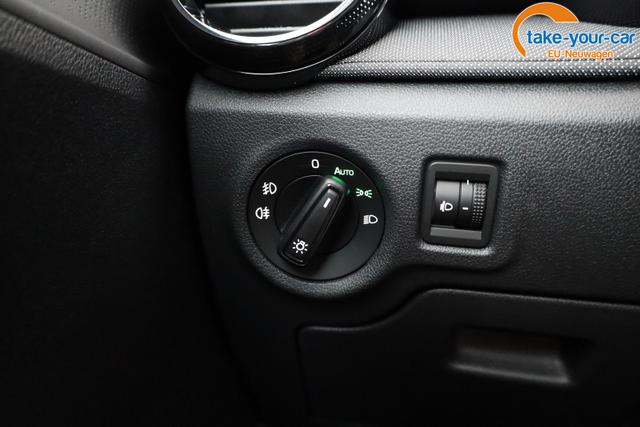Skoda - Fabia - EU-Neuwagen - Reimport