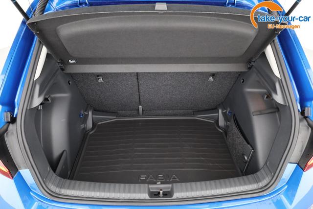 Skoda - Fabia - EU-Neuwagen - Reimport
