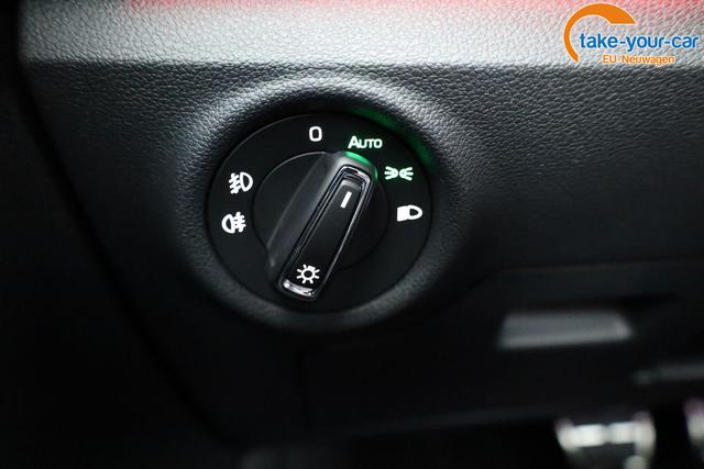 Skoda - Kamiq - EU-Neuwagen - Reimport