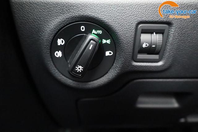 Skoda - Fabia - EU-Neuwagen - Reimport