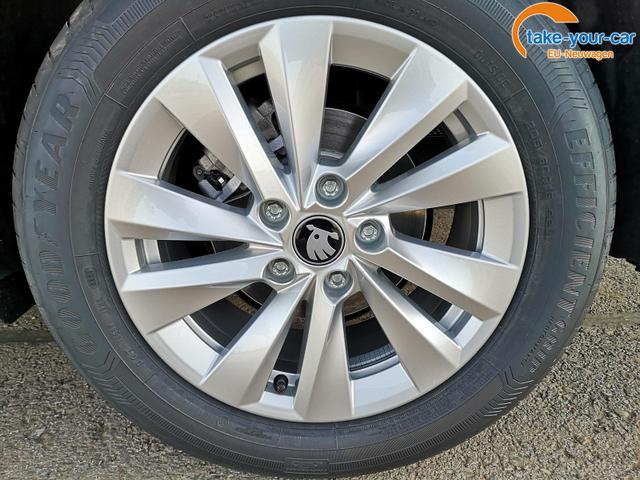 Skoda - Octavia Combi - EU-Neuwagen - Reimport