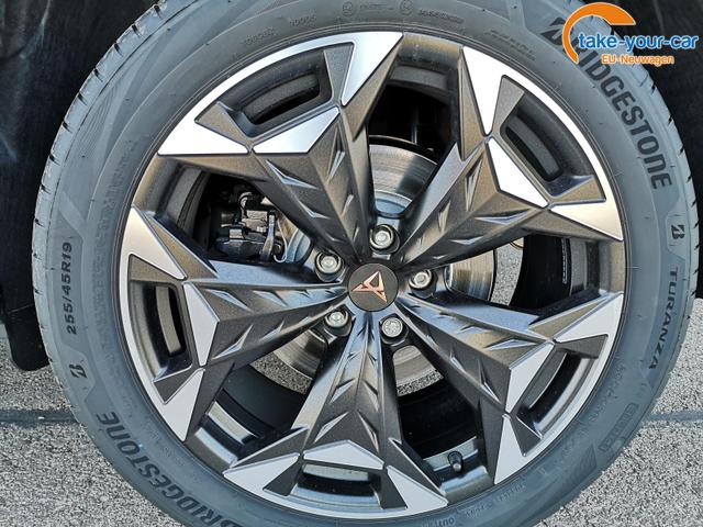 Cupra - Terramar - EU-Neuwagen - Reimport