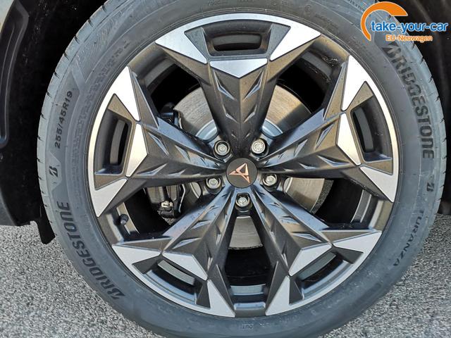 Cupra - Terramar - EU-Neuwagen - Reimport
