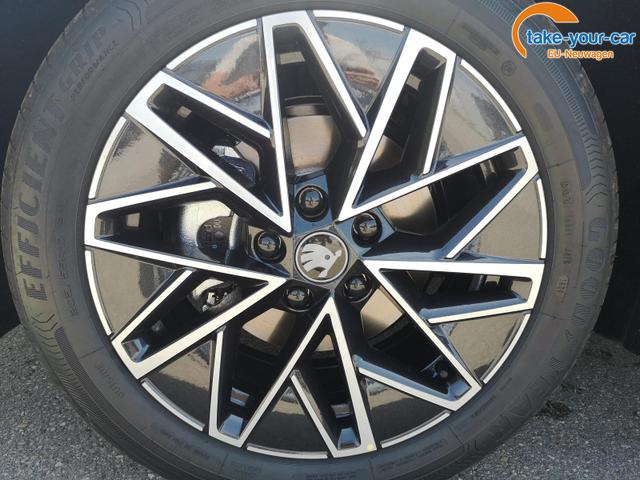 Skoda - Octavia Combi - EU-Neuwagen - Reimport