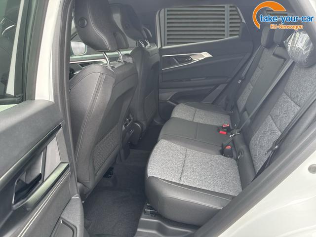 Renault - Austral - EU-Neuwagen - Reimport