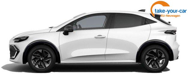 Renault - Clio - EU-Neuwagen - Reimport
