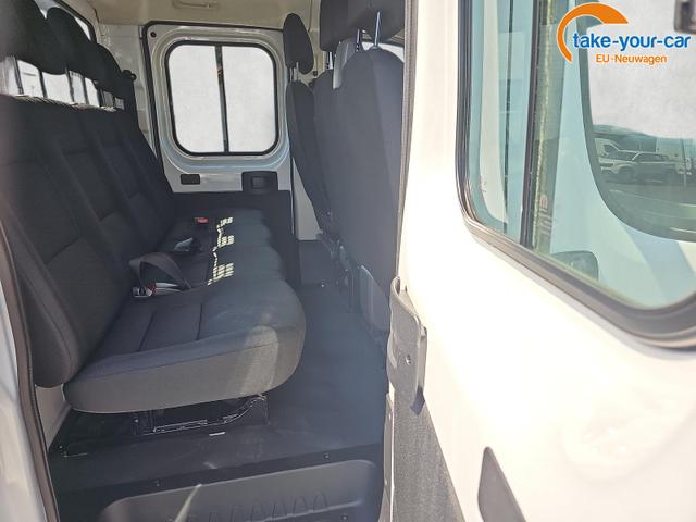Opel - Movano - EU-Neuwagen - Reimport