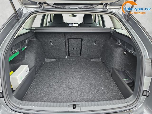 Skoda - Octavia Combi - EU-Neuwagen - Reimport