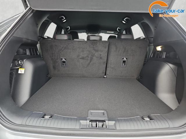 Ford - Kuga - EU-Neuwagen - Reimport