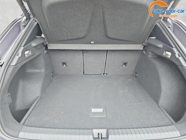 Cupra - Terramar - EU-Neuwagen - Reimport