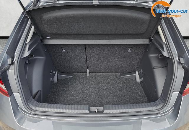 Skoda - Fabia - EU-Neuwagen - Reimport