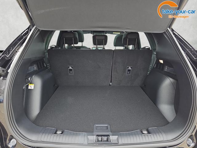 Ford - Kuga - EU-Neuwagen - Reimport