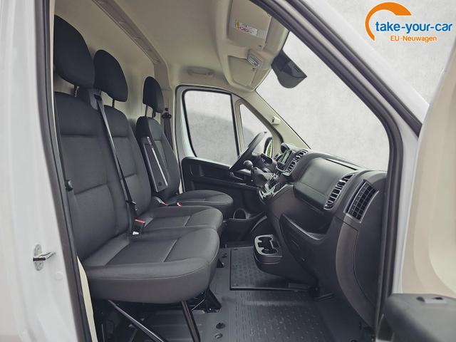 Fiat - Ducato - EU-Neuwagen - Reimport