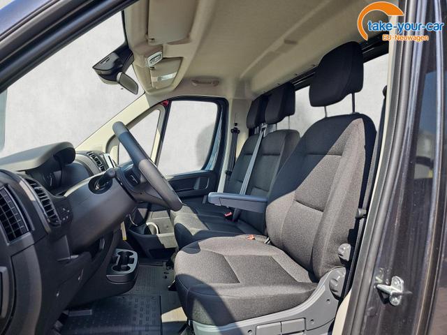 Fiat - Ducato - EU-Neuwagen - Reimport