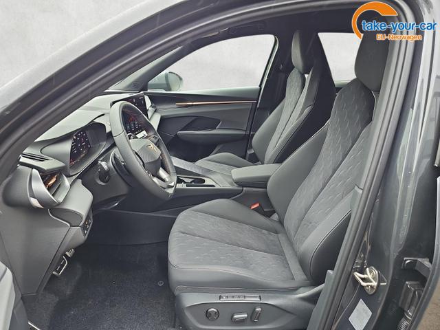 Cupra - Terramar - EU-Neuwagen - Reimport