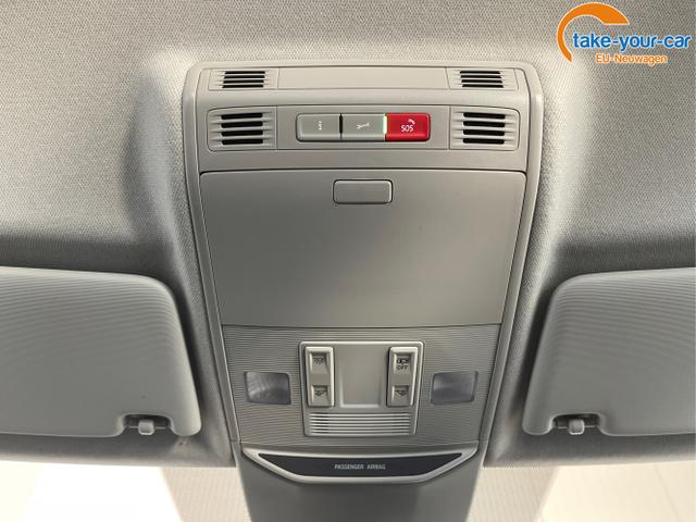 Skoda - Kamiq - EU-Neuwagen - Reimport