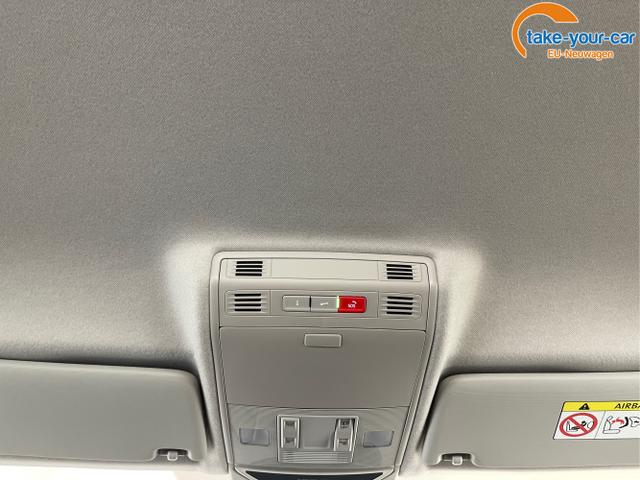 Skoda - Fabia - EU-Neuwagen - Reimport