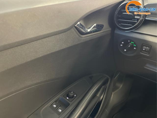 Skoda - Fabia - EU-Neuwagen - Reimport