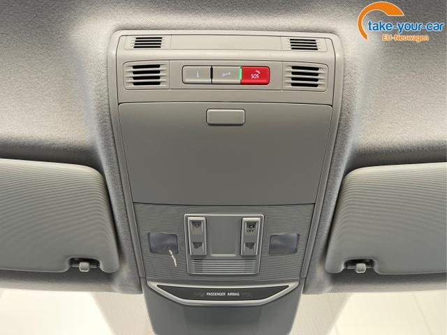 Skoda - Fabia - EU-Neuwagen - Reimport