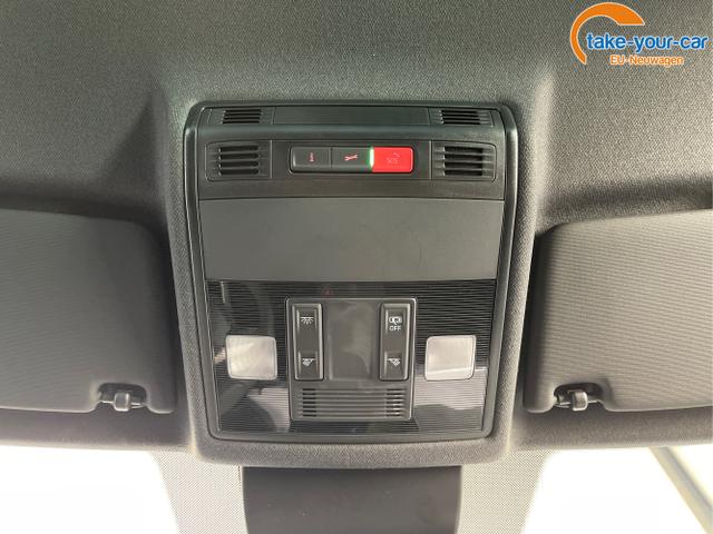 Seat - Ibiza - EU-Neuwagen - Reimport