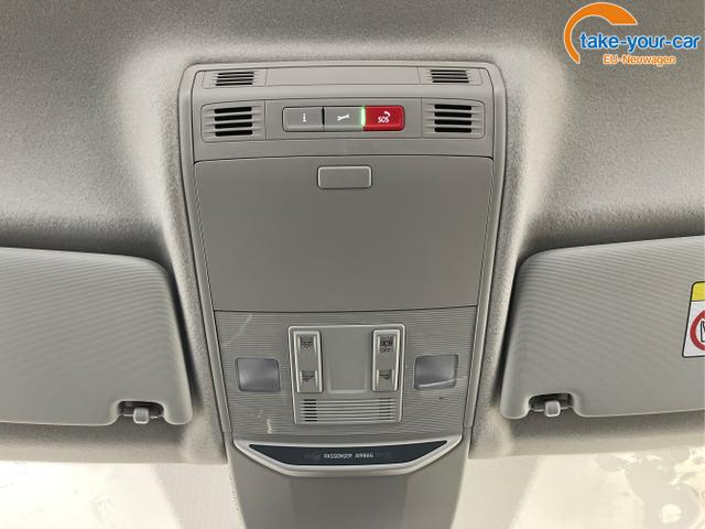 Skoda - Fabia - EU-Neuwagen - Reimport