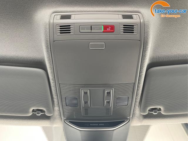 Skoda - Fabia - EU-Neuwagen - Reimport