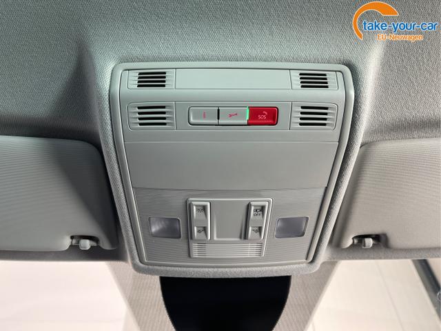 Seat - Ibiza - EU-Neuwagen - Reimport