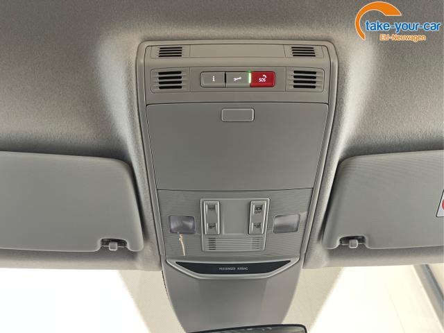 Skoda - Fabia - EU-Neuwagen - Reimport