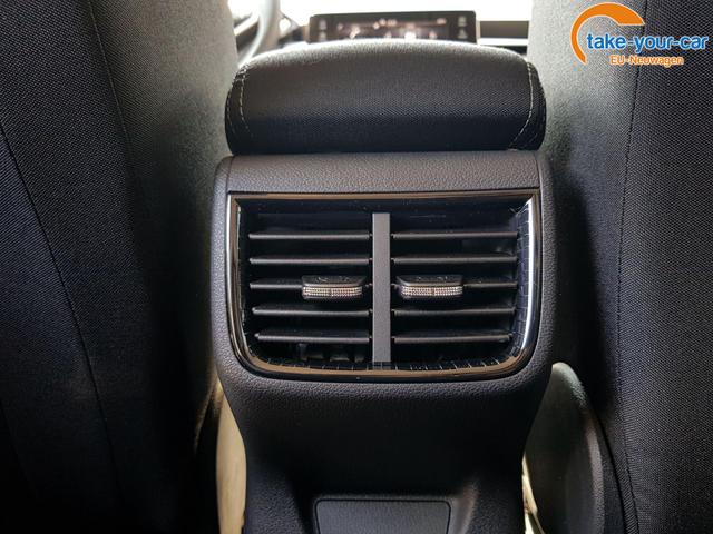 Skoda - Fabia - EU-Neuwagen - Reimport