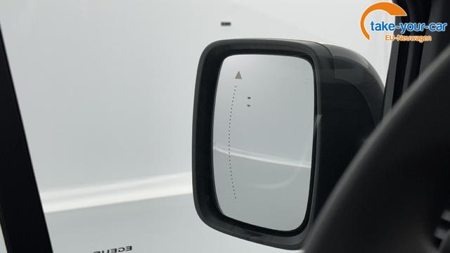 Renault - Trafic Kastenwagen - EU-Neuwagen - Reimport