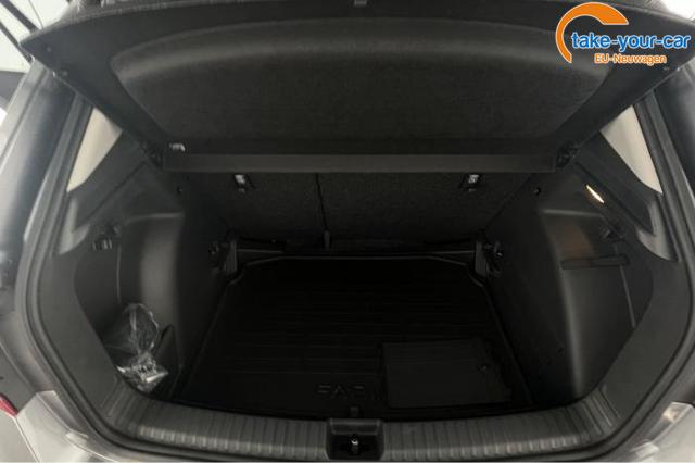 Skoda - Fabia - EU-Neuwagen - Reimport