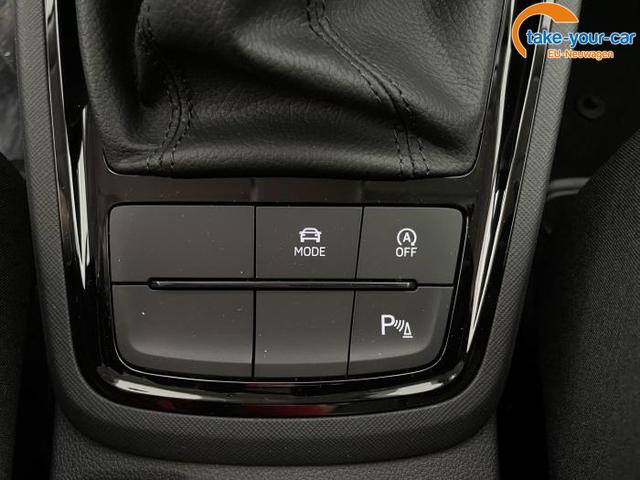 Skoda - Kamiq - EU-Neuwagen - Reimport