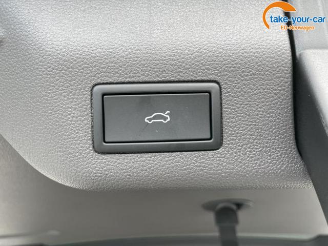 Volkswagen - T7 Multivan - EU-Neuwagen - Reimport